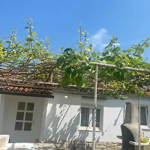 Nela Poreč