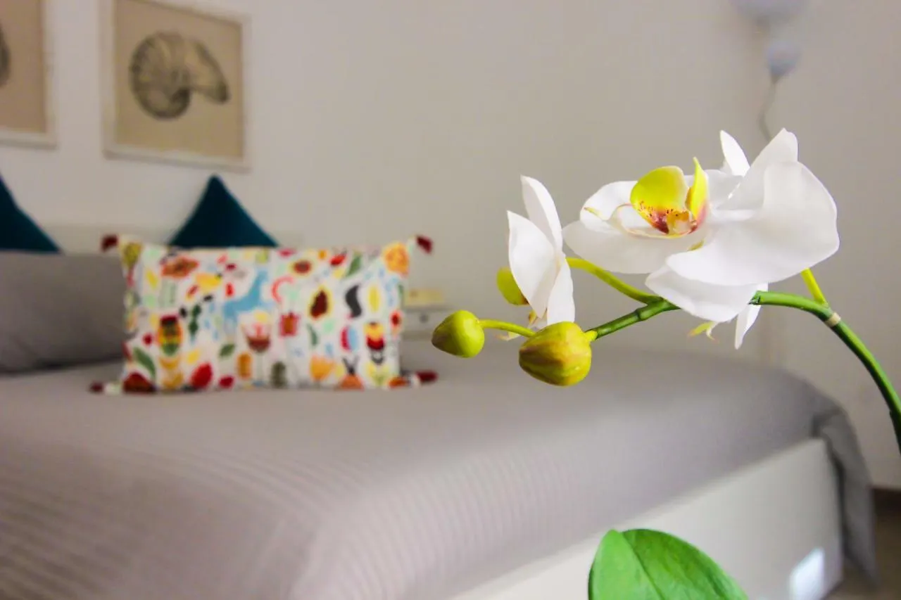 Apartament Le Casette Di Marci Palermo